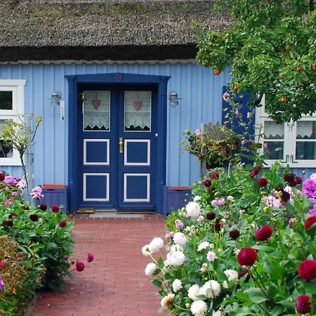 Alte Boddenkate Ferienhaus *