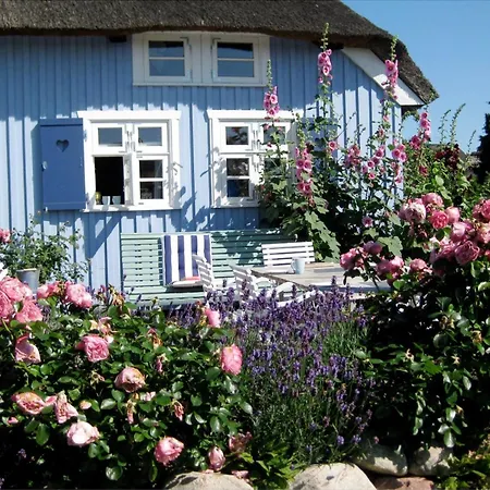 Alte Boddenkate Born